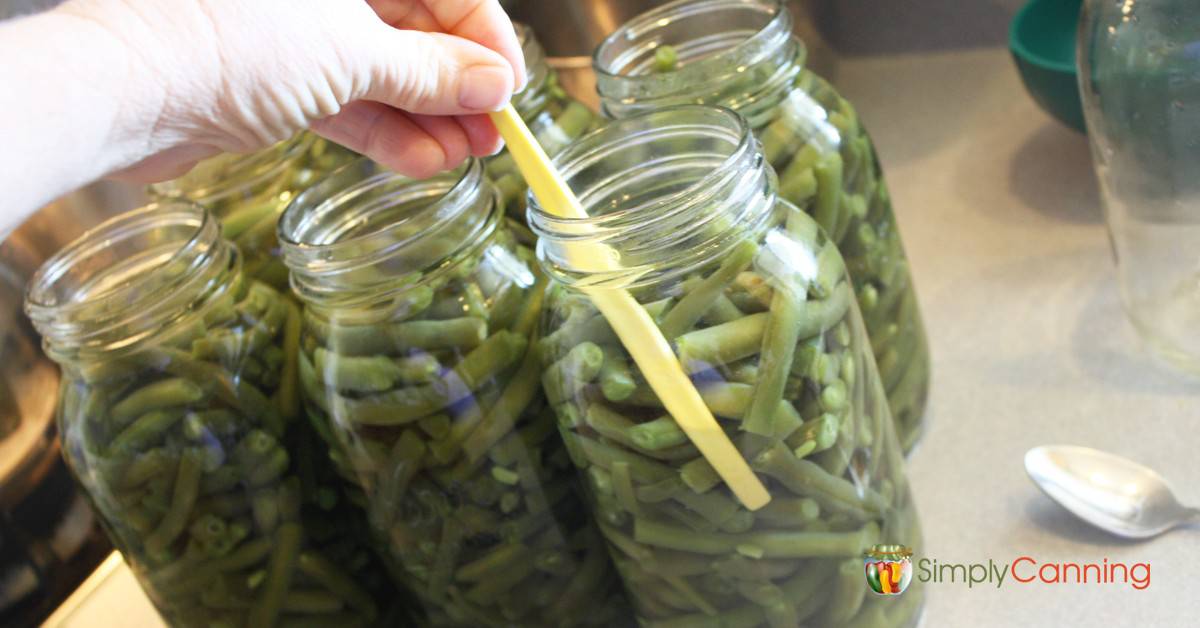 Stock Your Pantry: Home-Canned Green Beans the Homestead Way